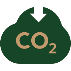 Sobre el corcho 16 carbono negativo