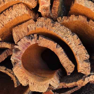 Sobre el corcho 5 corteza de corcho