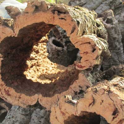 Sobre el corcho 3 corcho virgen